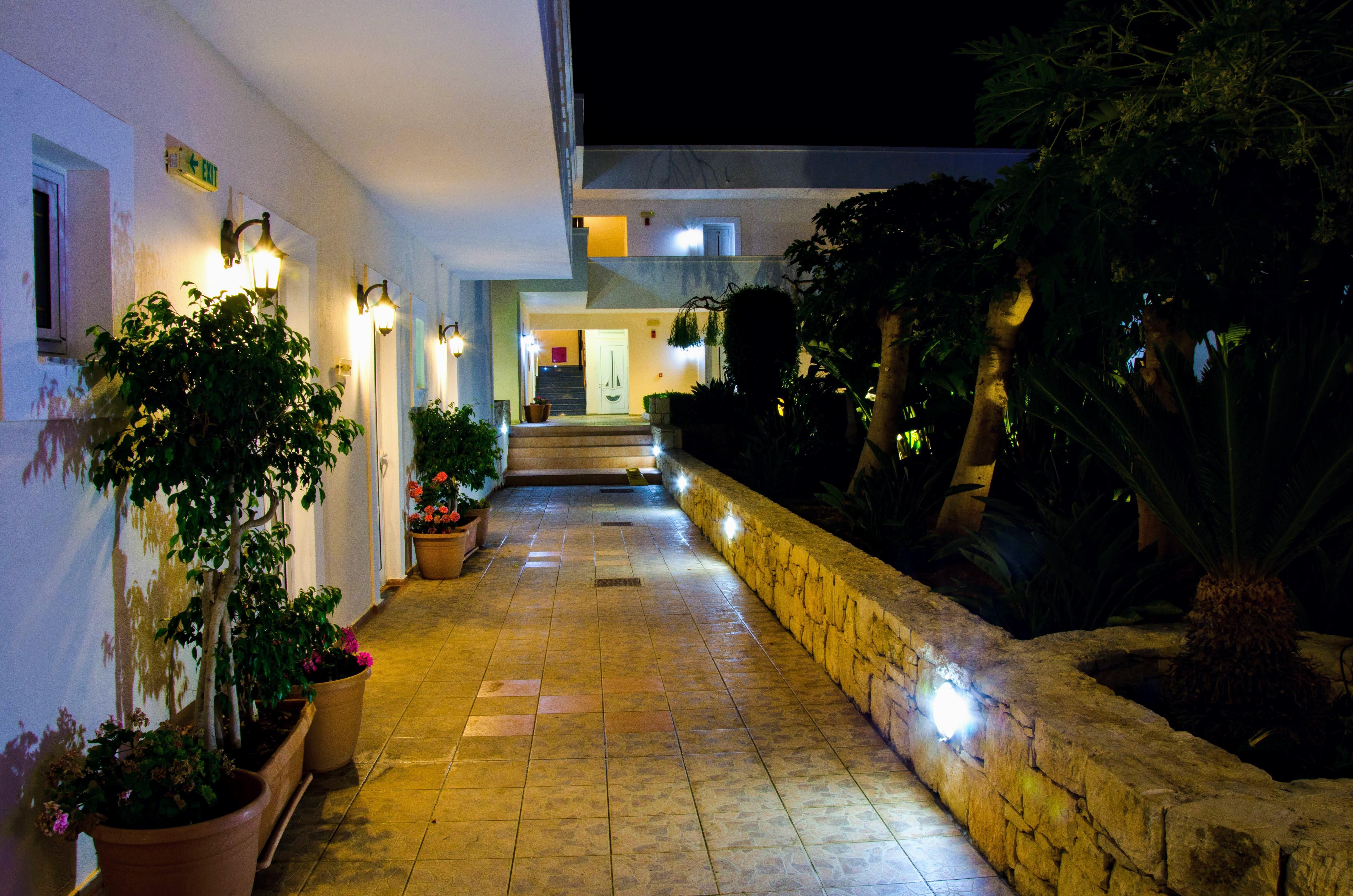 Yiannis Manos Malia (Crete)