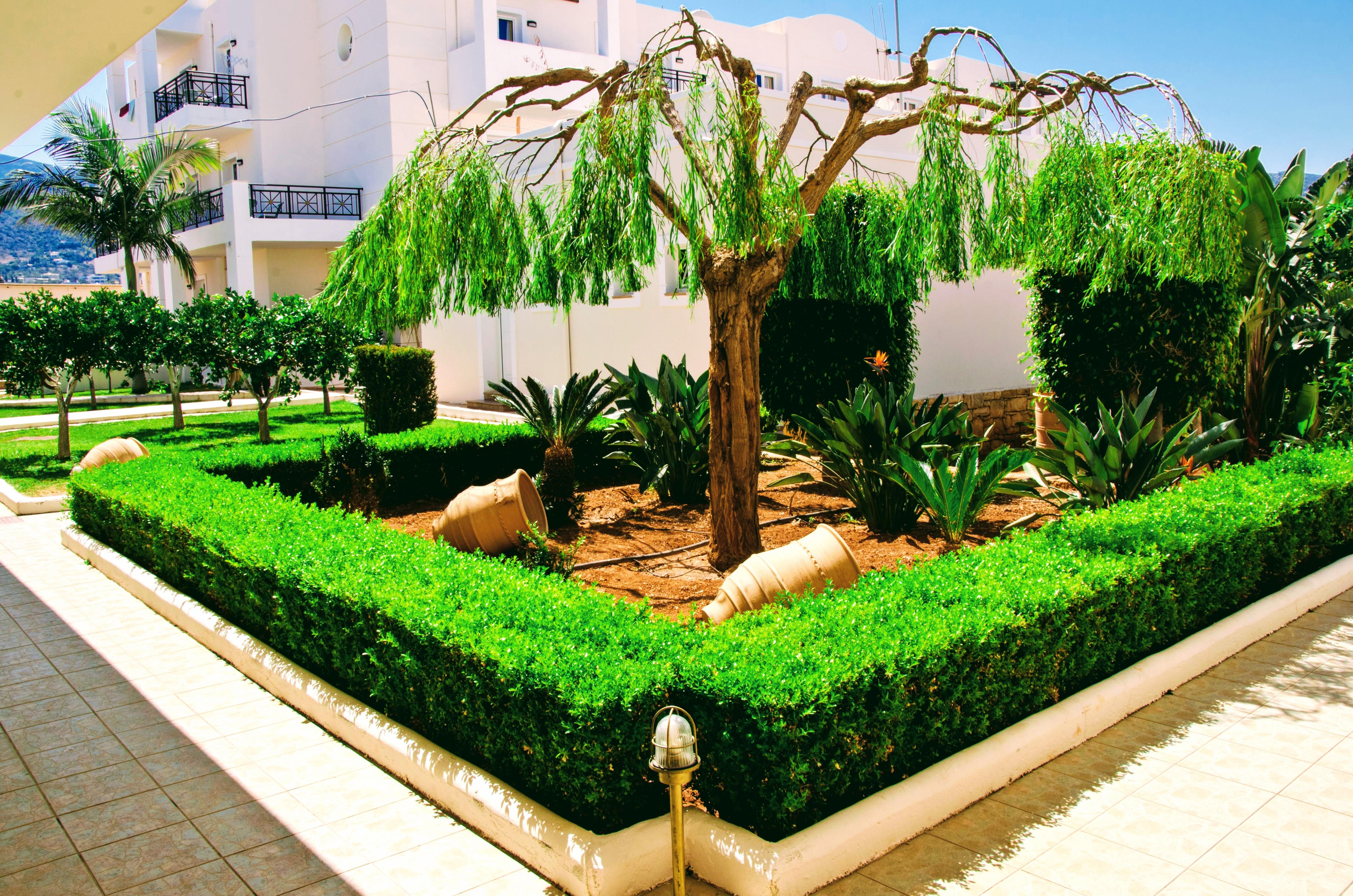 Aparthotel Yiannis Manos