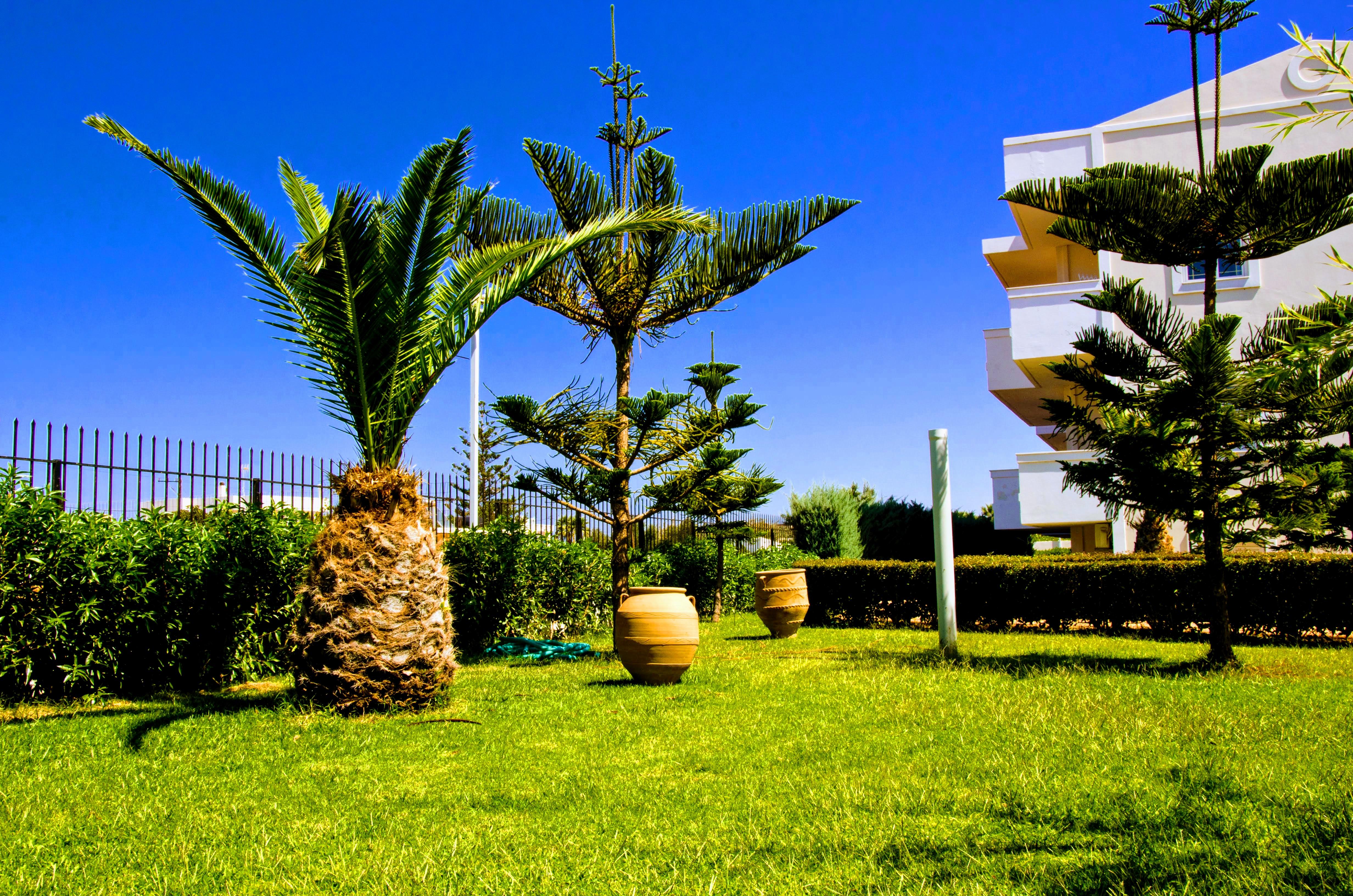 Yiannis Manos 3* Malia (Crete)